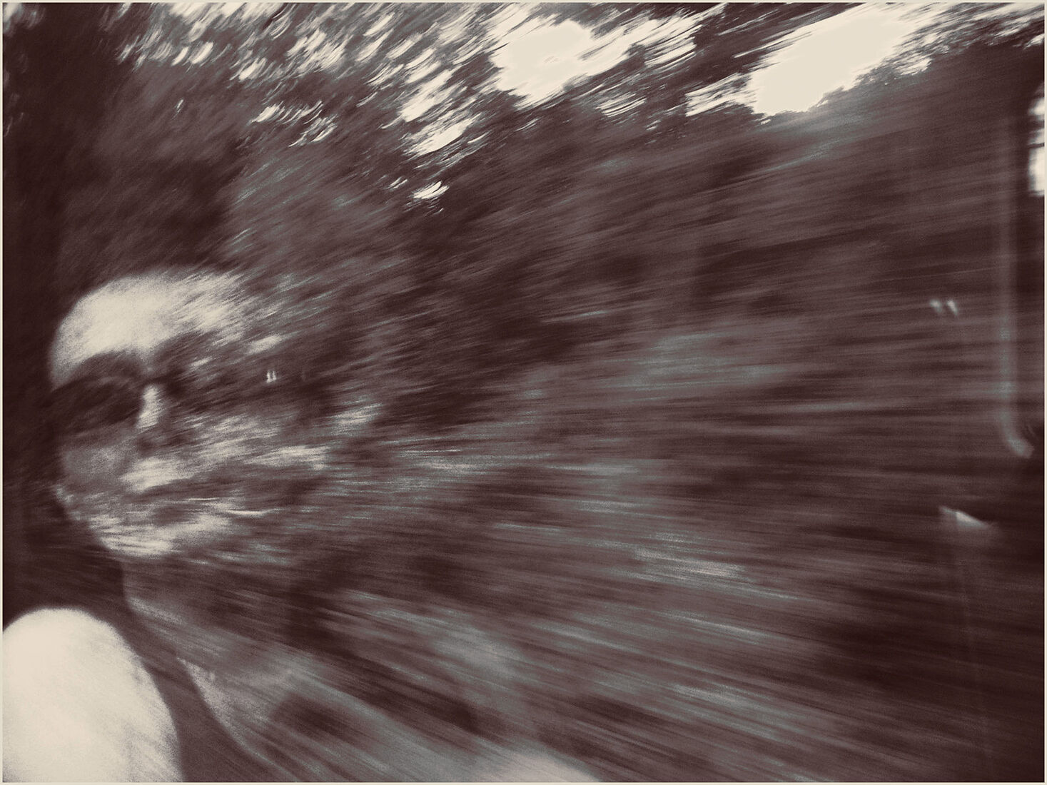 KONICA MINOLTA DIGITAL CAMERA  